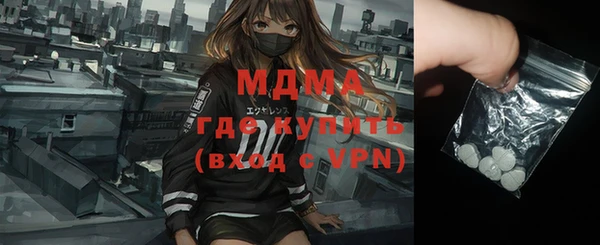 шишки Няндома