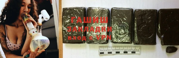 шишки Няндома