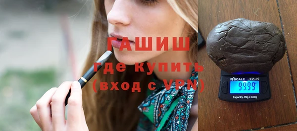 шишки Няндома