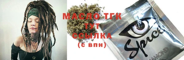 шишки Няндома