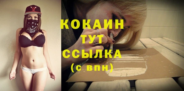 мдпв Осинники