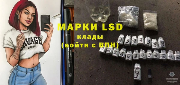 шишки Няндома