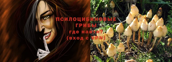 мдпв Осинники