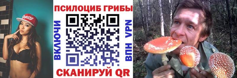 Псилоцибиновые грибы прущие грибы  Саяногорск 