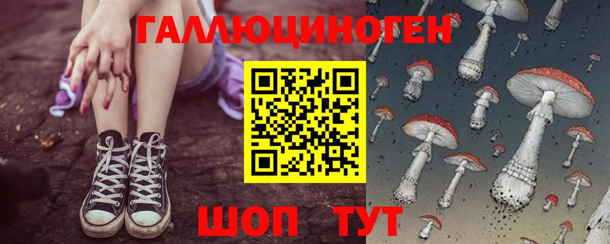 Псилоцибиновые грибы Psilocybine cubensis  Вход с VPN  Саяногорск 